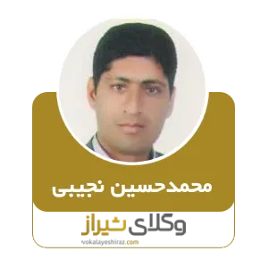 سیدمحمدحسین نجیبی