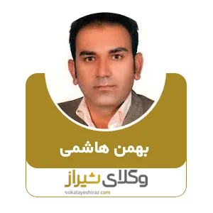 بهمن هاشمی