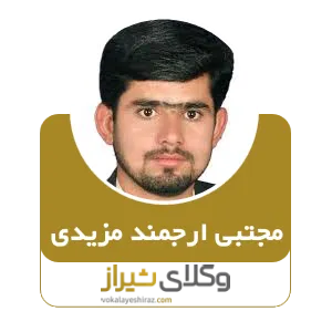 مجتبی ارجمند مزیدی