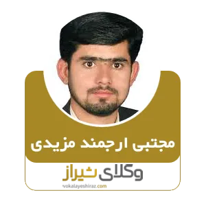 مجتبی ارجمند مزیدی