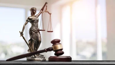 بهترین وکیل زن در جهرم
